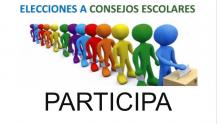 Participación en las elecciones para la renovación de miembros en el Consejo Escolar